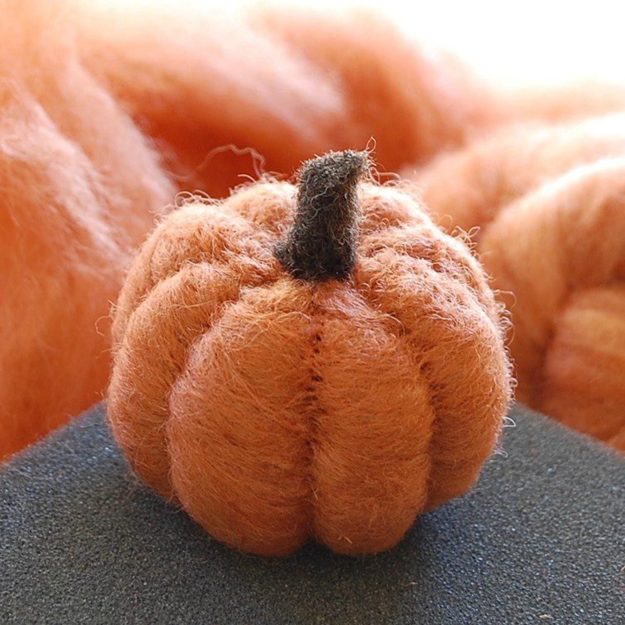Pumpkin Needle Felting Kit (Beginner)