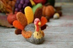 Turkey Needle Felting Kit (Advanced Beginner)