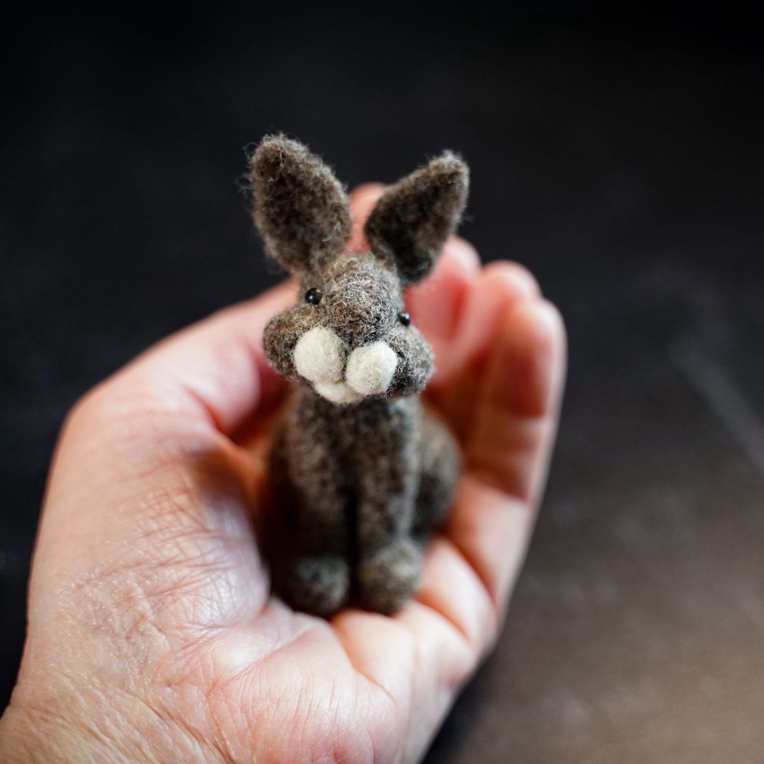 Bunny Needle Felting Kit (Advanced Beginner)