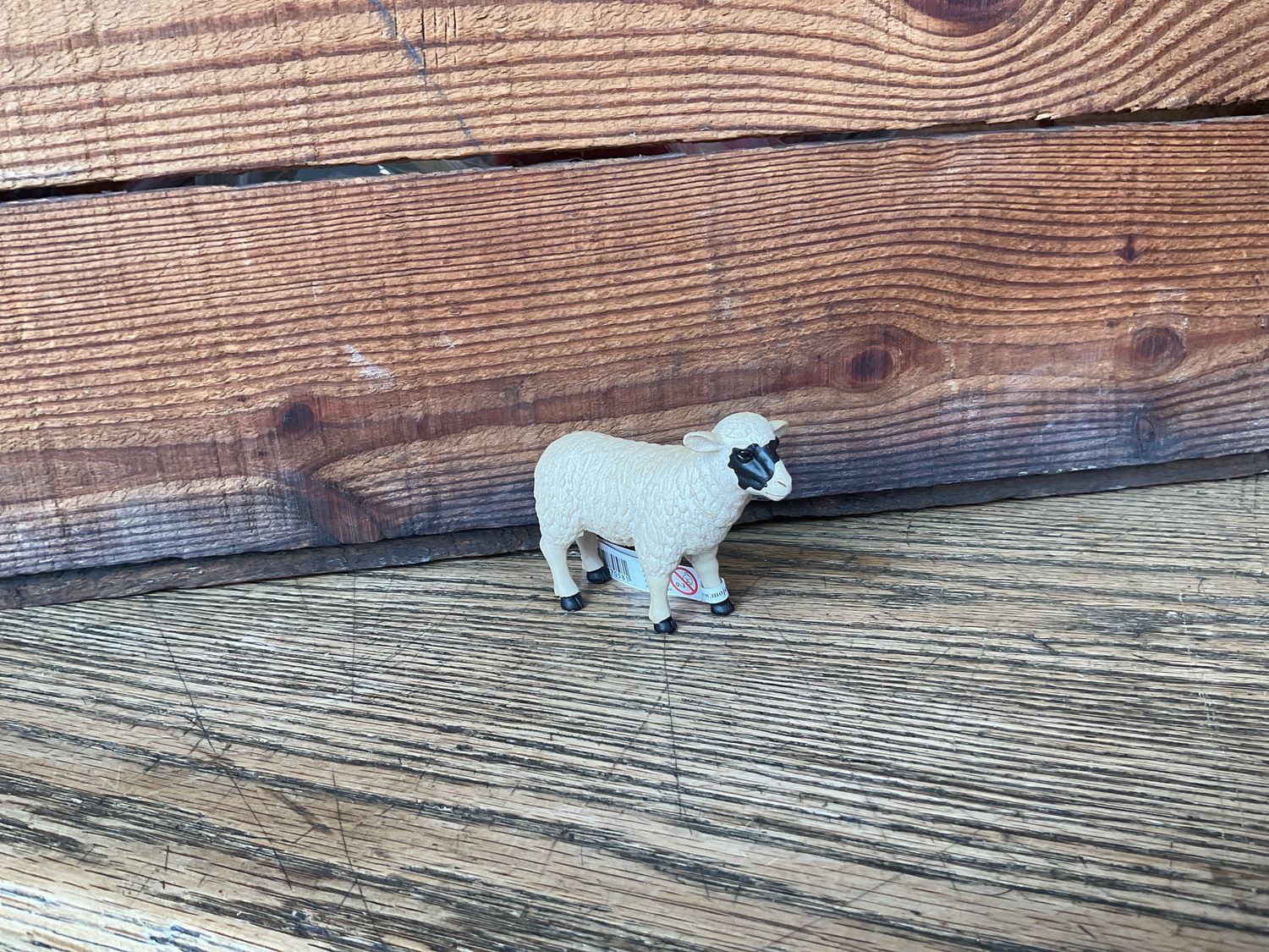 MOJO Black faced Sheep (Ewe)