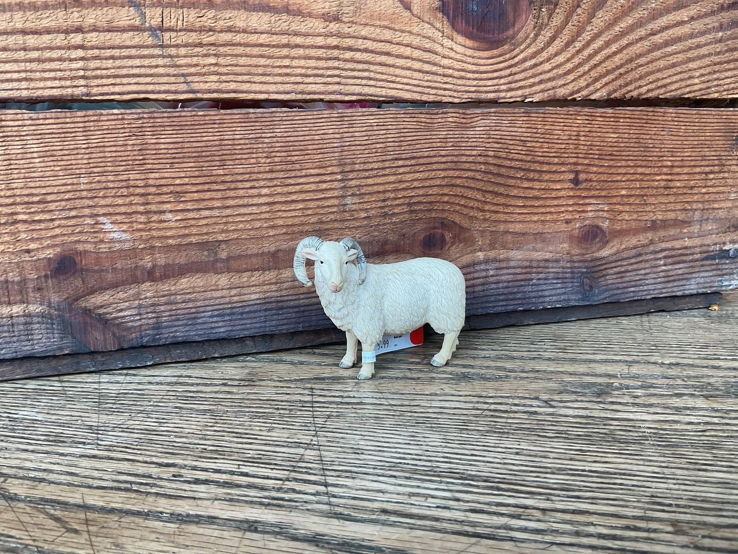 MOJO Sheep (Ram)