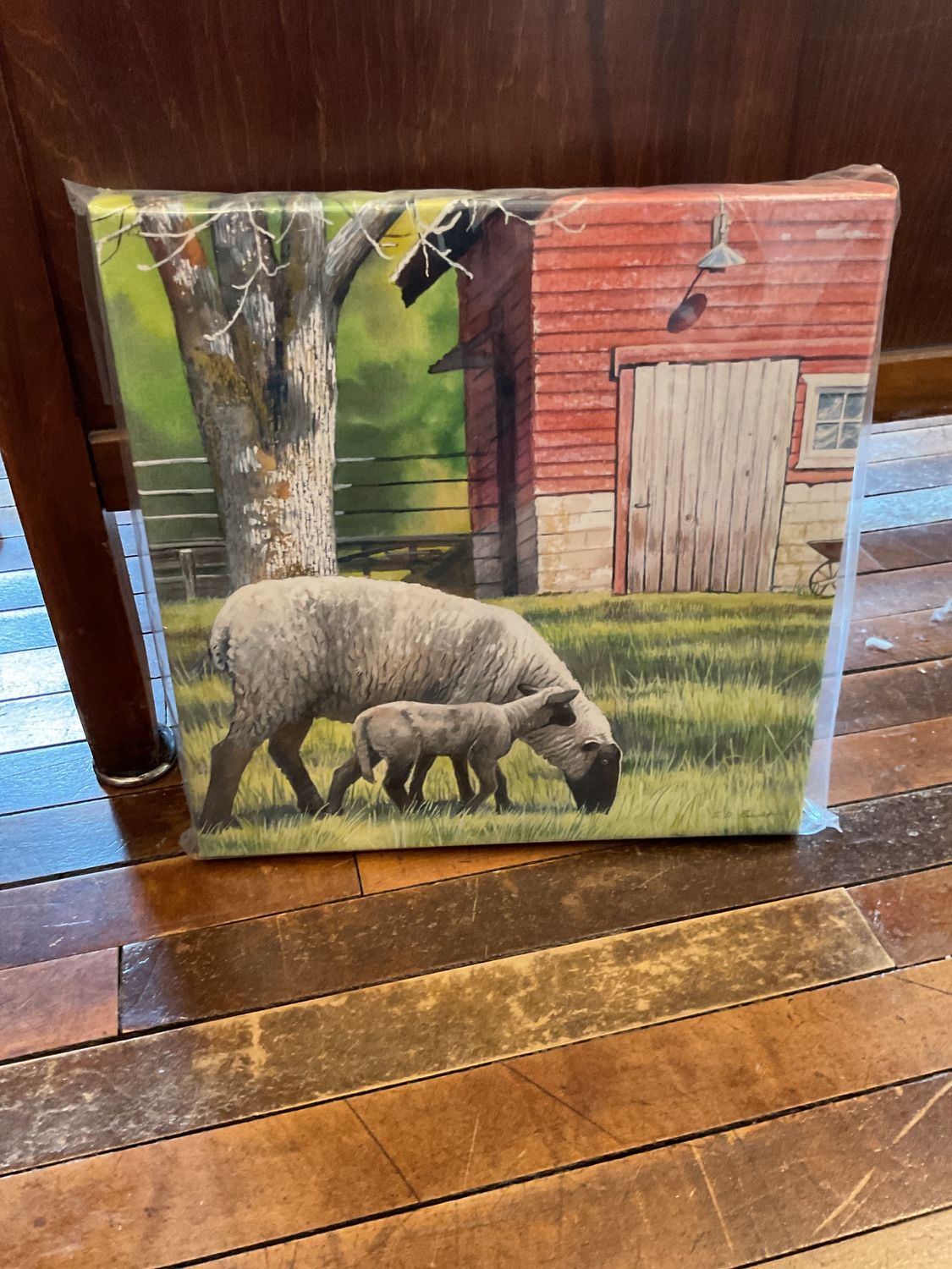 Daily chores-Sheep Canvas Print