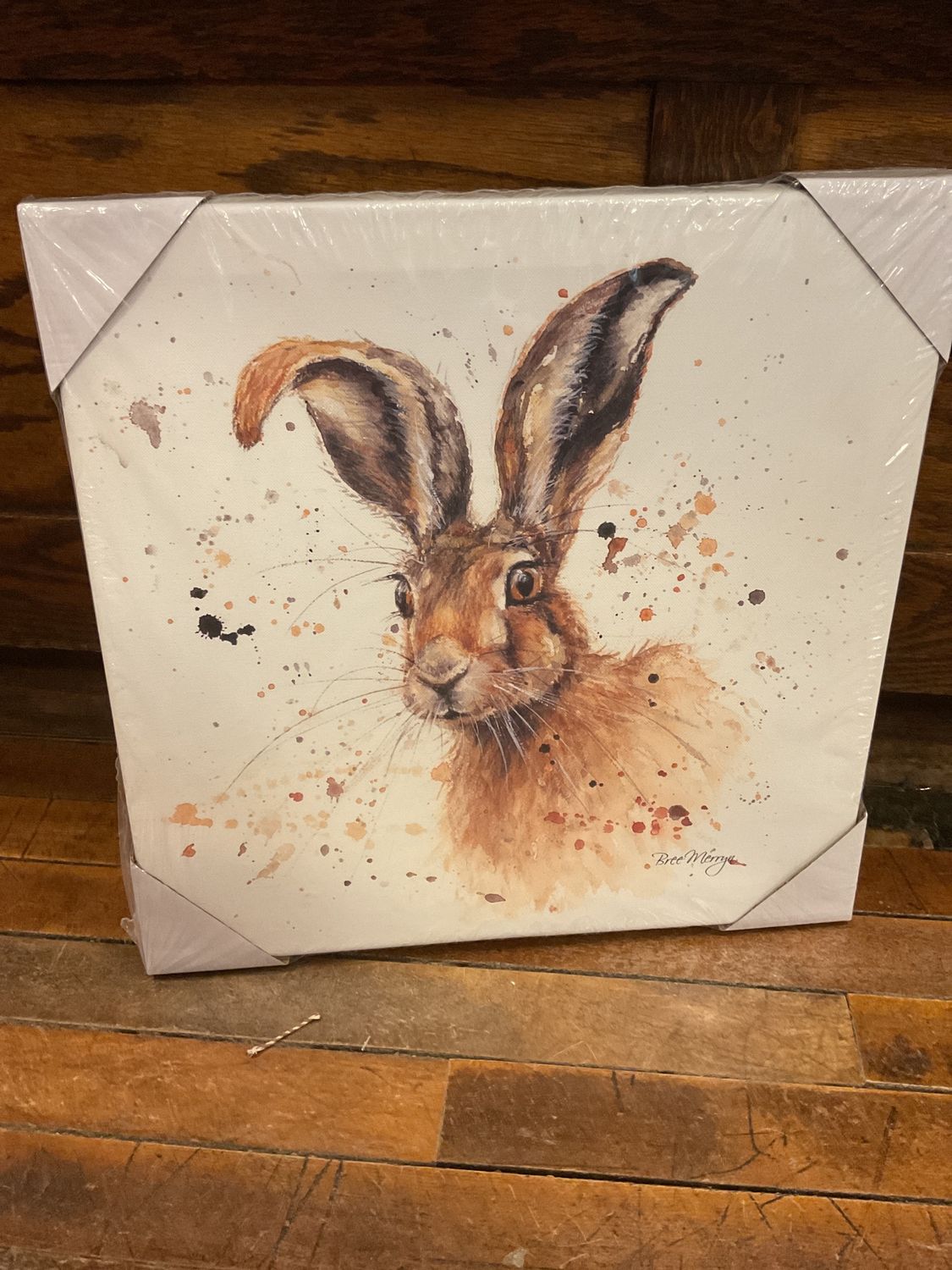 Hugh, Canvas Cutie