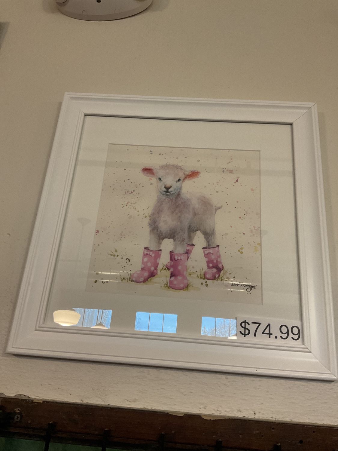 Lottie White Framed Print