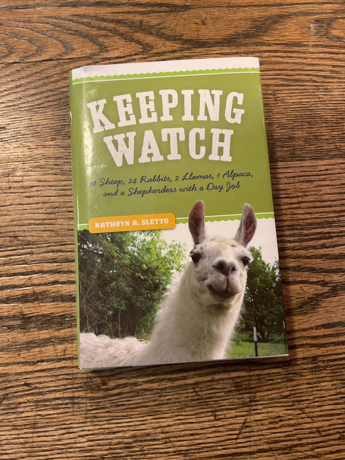 Keeping Watch By Kathryn Sletto