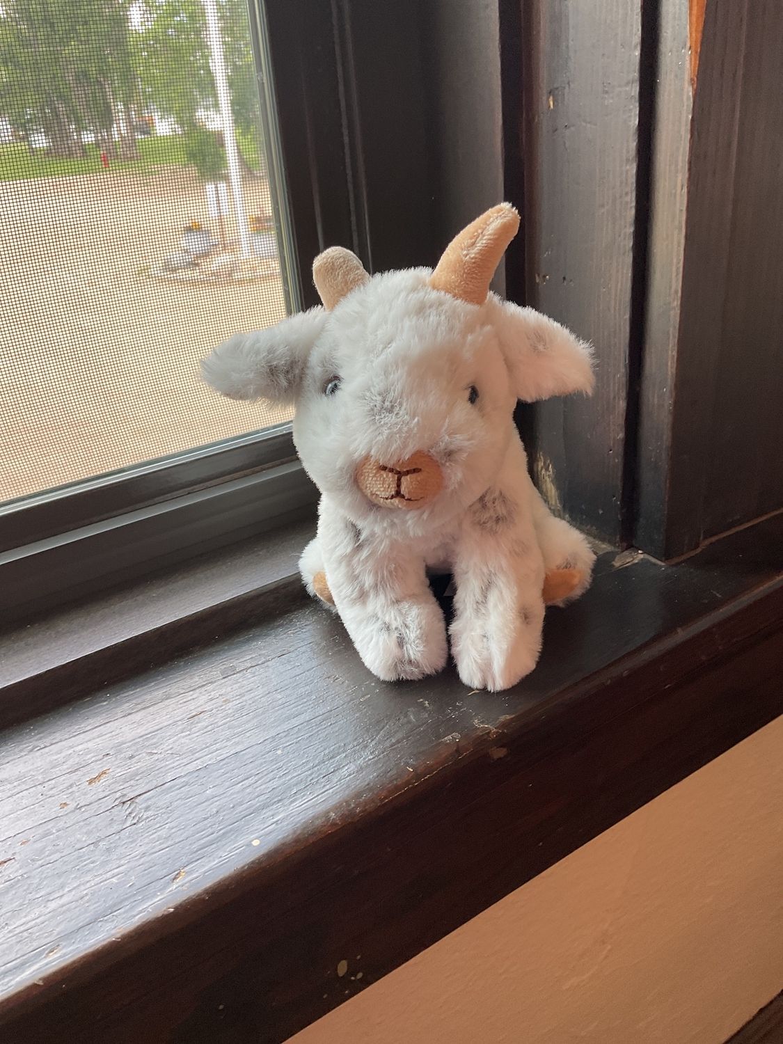 6” Baby Goat