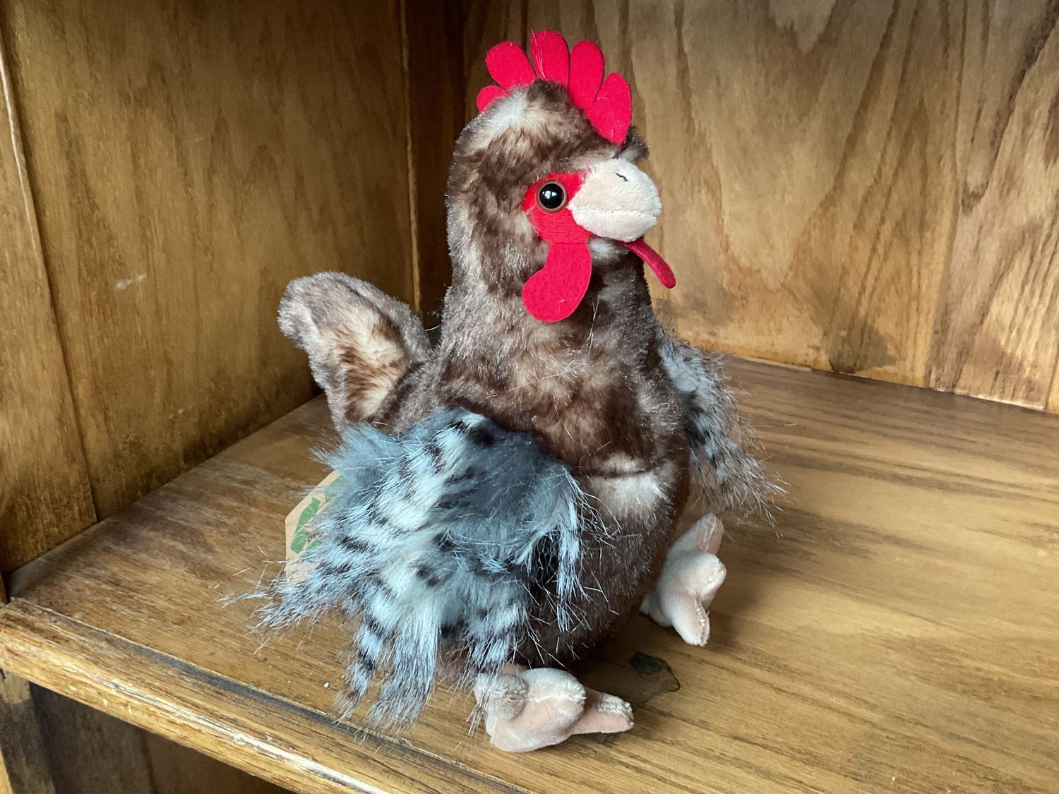 9&quot; Brown Chicken