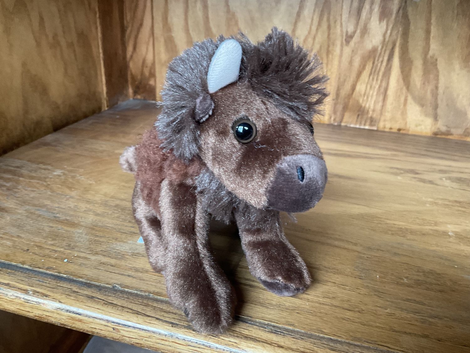 6&quot; Baby Bison