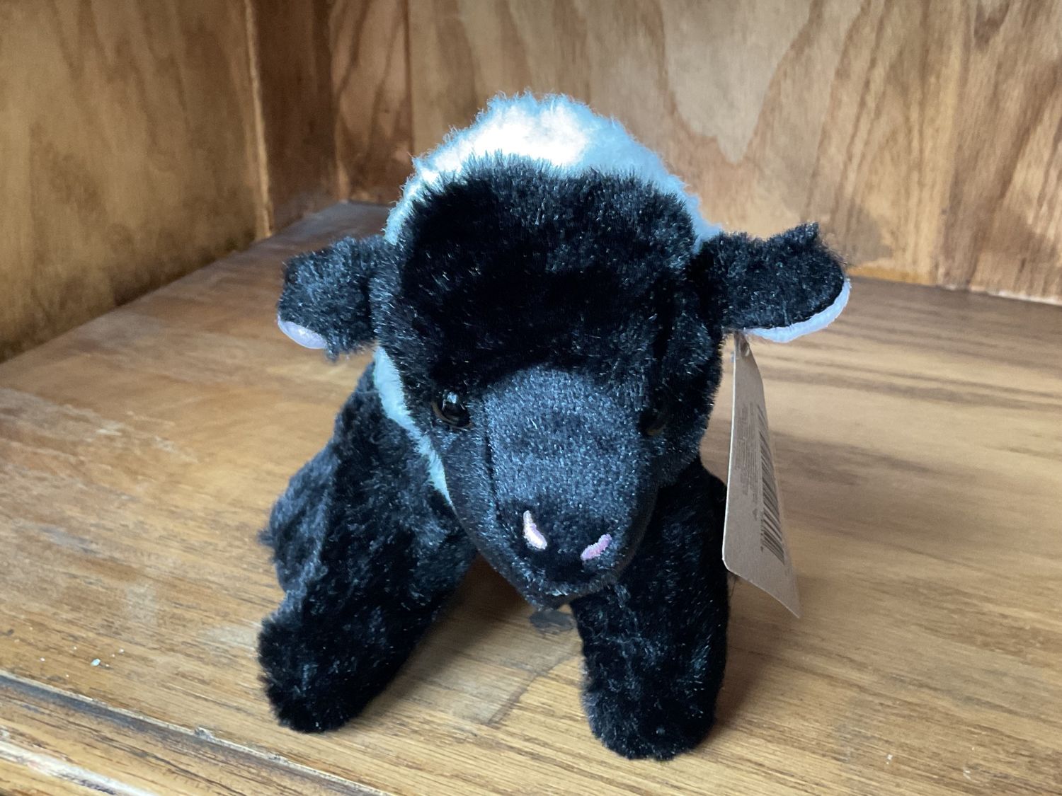 6&quot; Baby Lamb