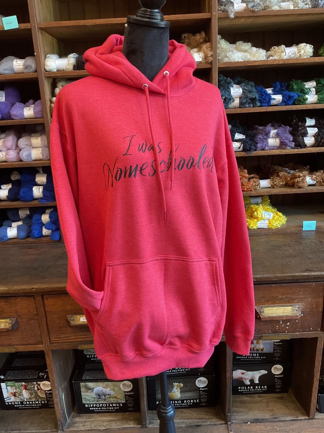 Adult Hoodie - I was Nomeschooled/Nome Schoolhouse