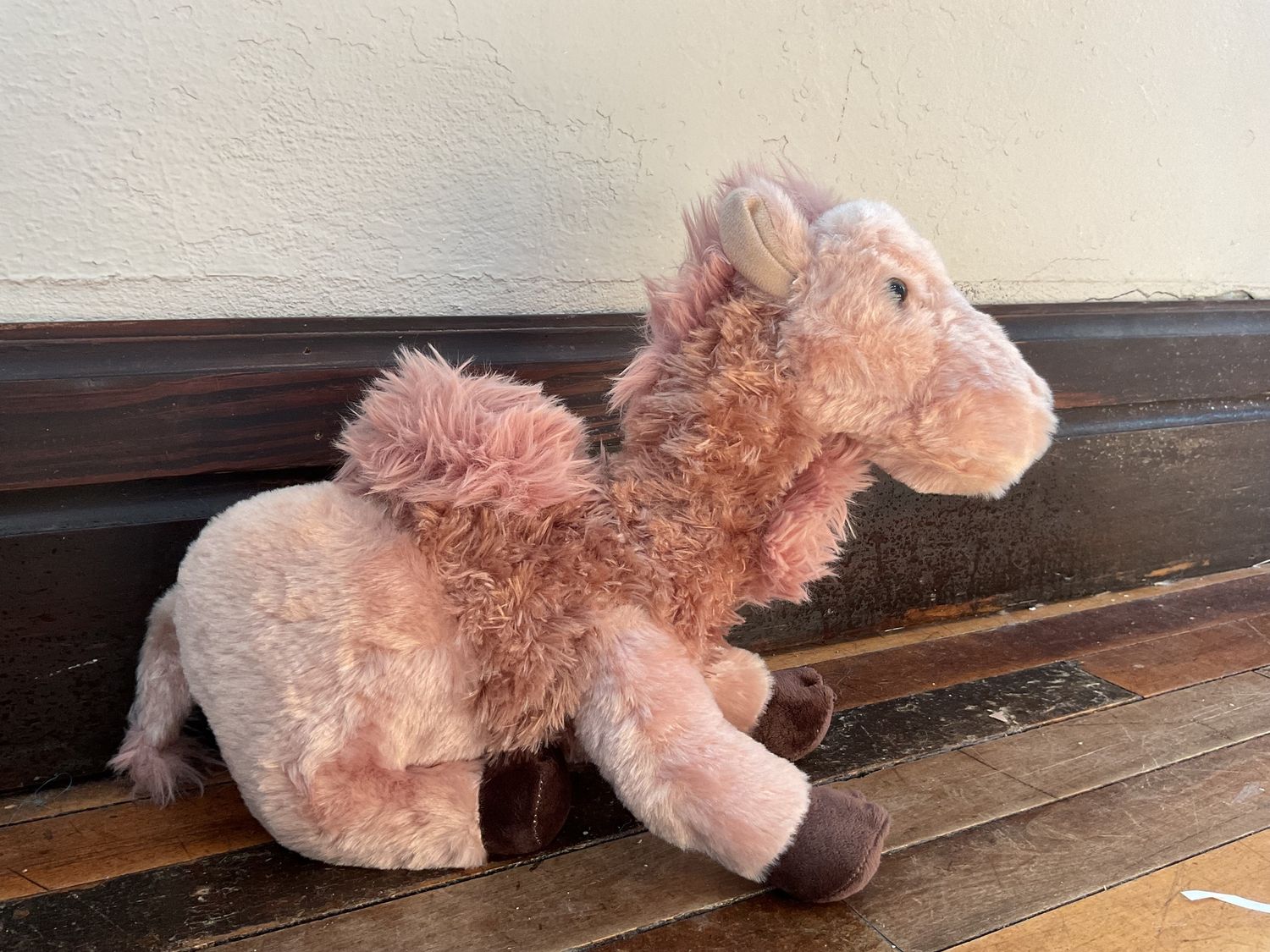 12&quot; (33cm) Wild Onez Camel (1 Hump)