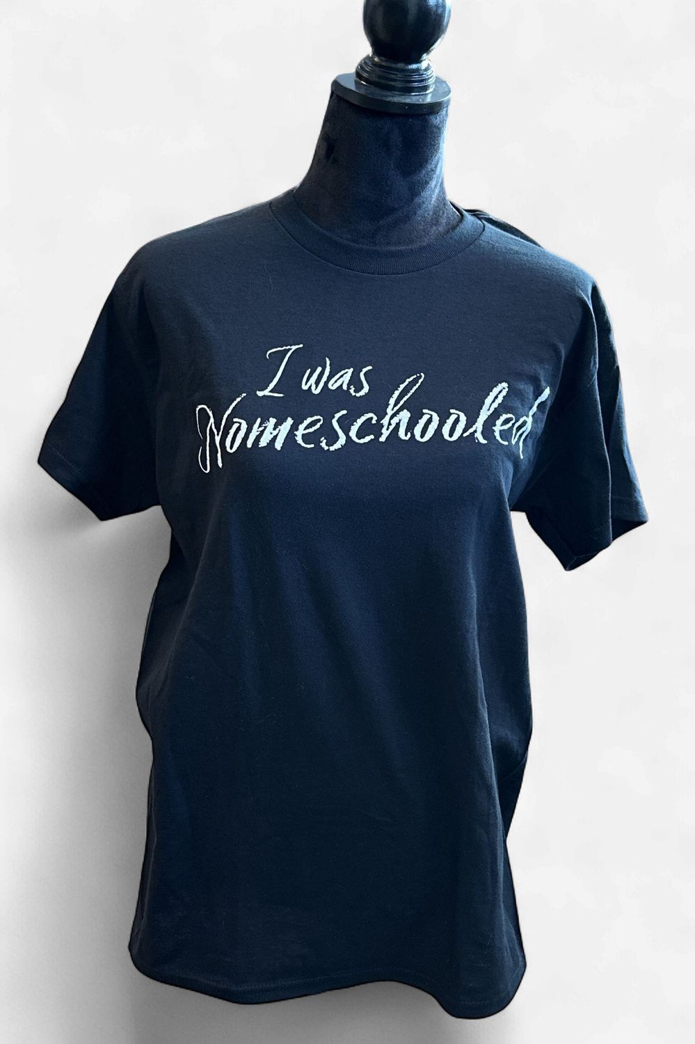 Adult I Was Nomeschooled T-Shirt