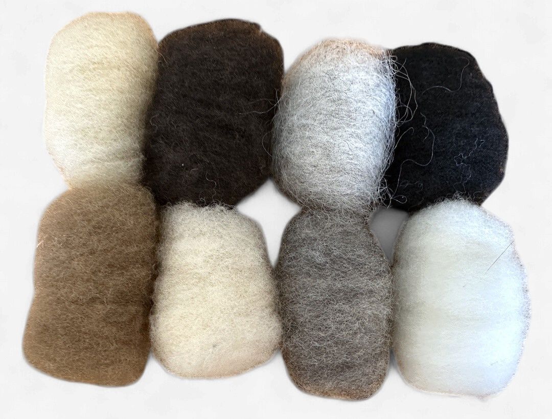Nome Schoolhouse Corriedale 3D Felting Wool 8 Color Sampler, Color: Neutrals