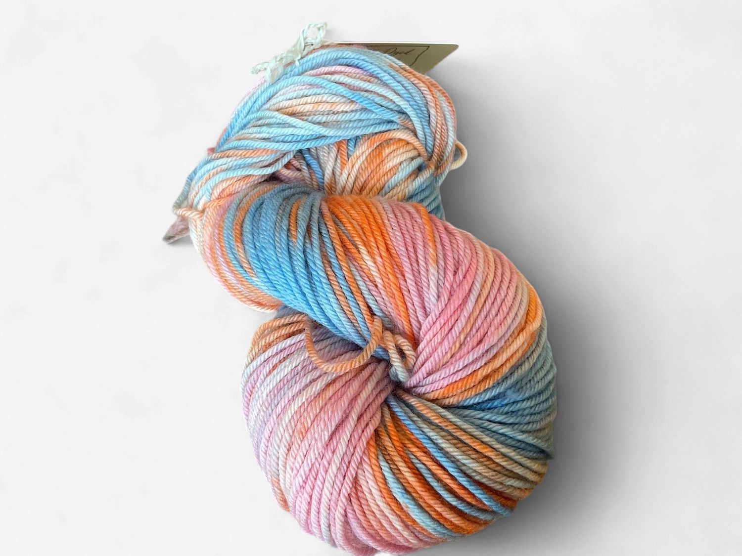 Dakota Dyed Superwash Merino DK 200 yds Yarn, Color: Garden Variety Hosta