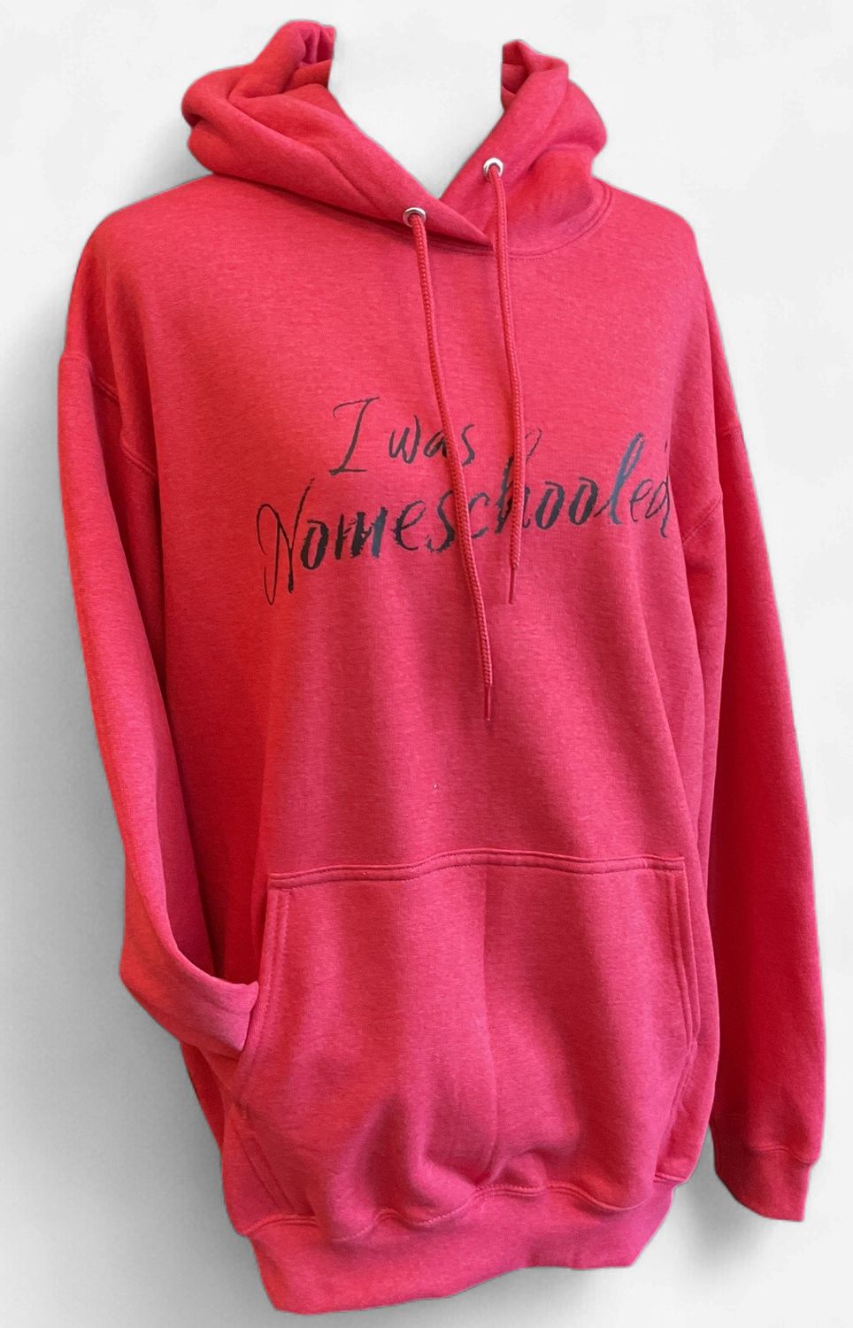 Adult I was Nomeschooled Hoodie