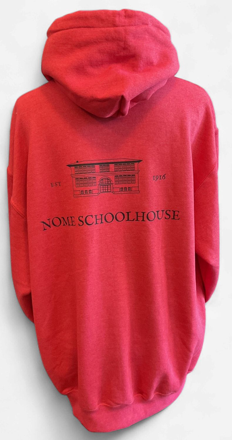 Adult I was Nomeschooled Hoodie