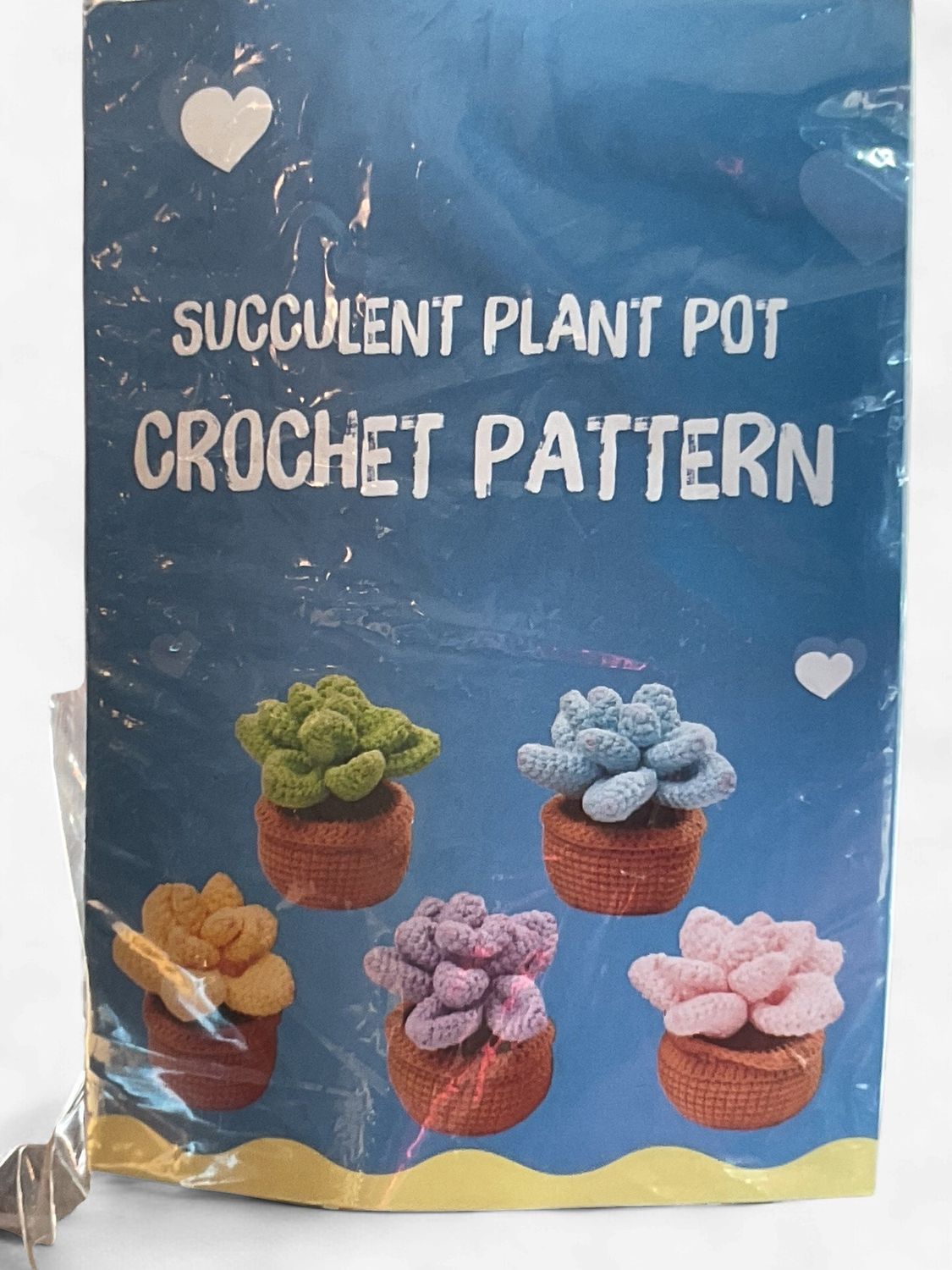 DIY Succulent Plant Easy Crochet Kit
