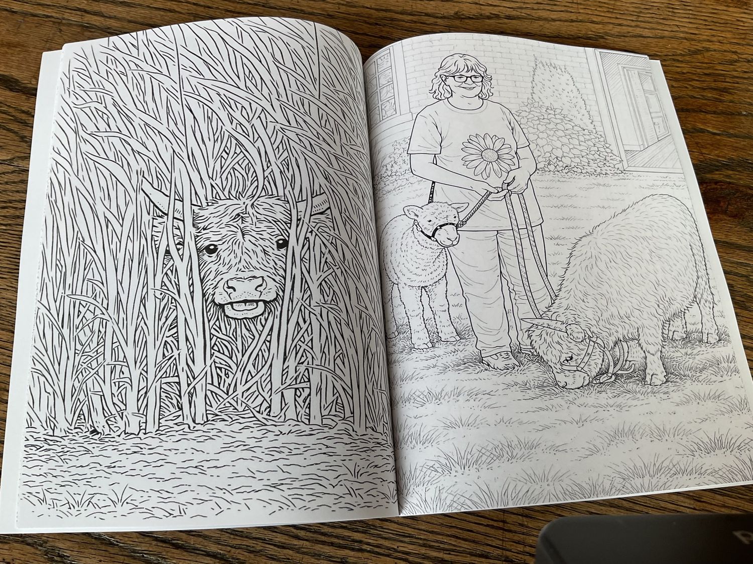 Seamus and Friends Farm Animal Coloring Book