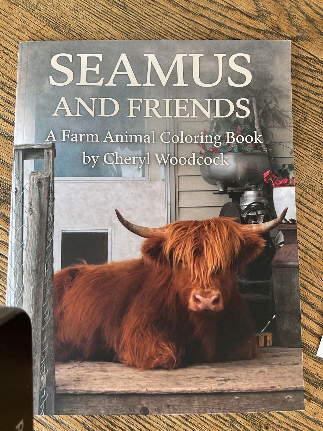 Seamus and Friends Farm Animal Coloring Book