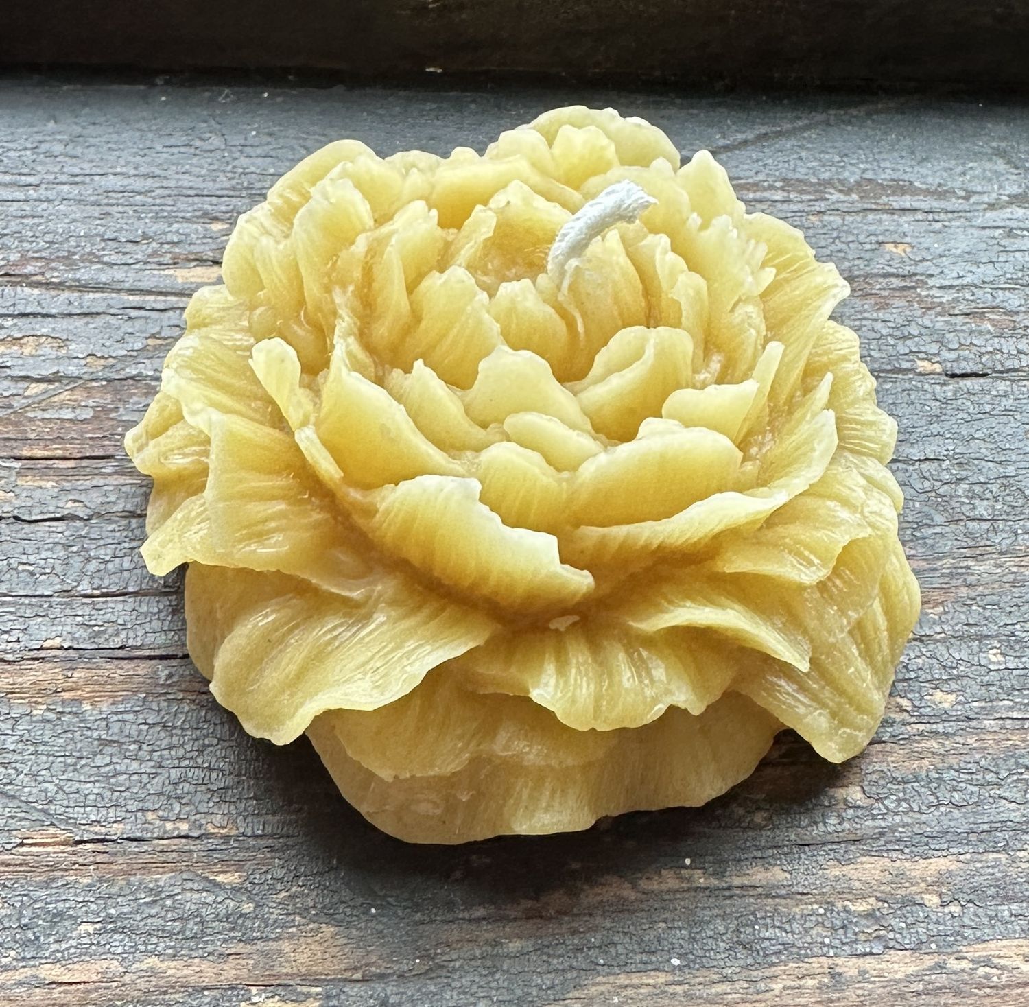 Holton Homestead Peony Beeswax Candle