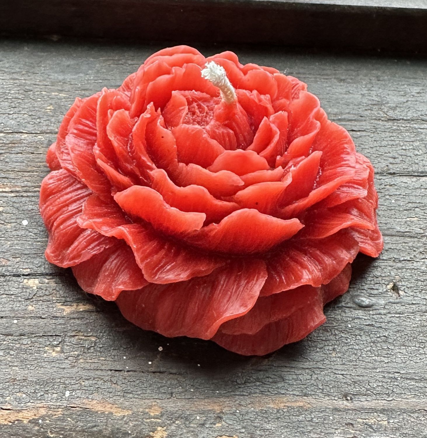 Holton Homestead Peony Beeswax Candle, Color: Red