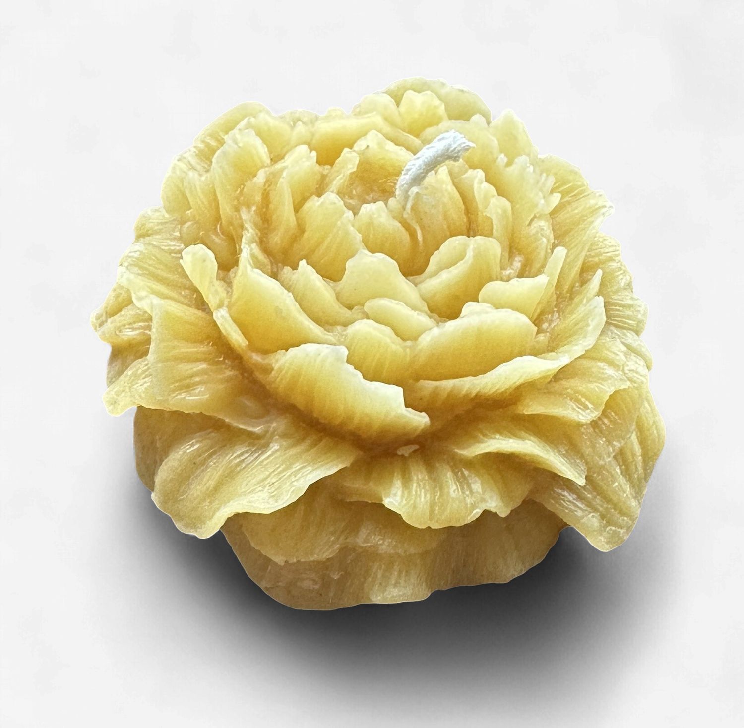Holton Homestead Peony Beeswax Candle