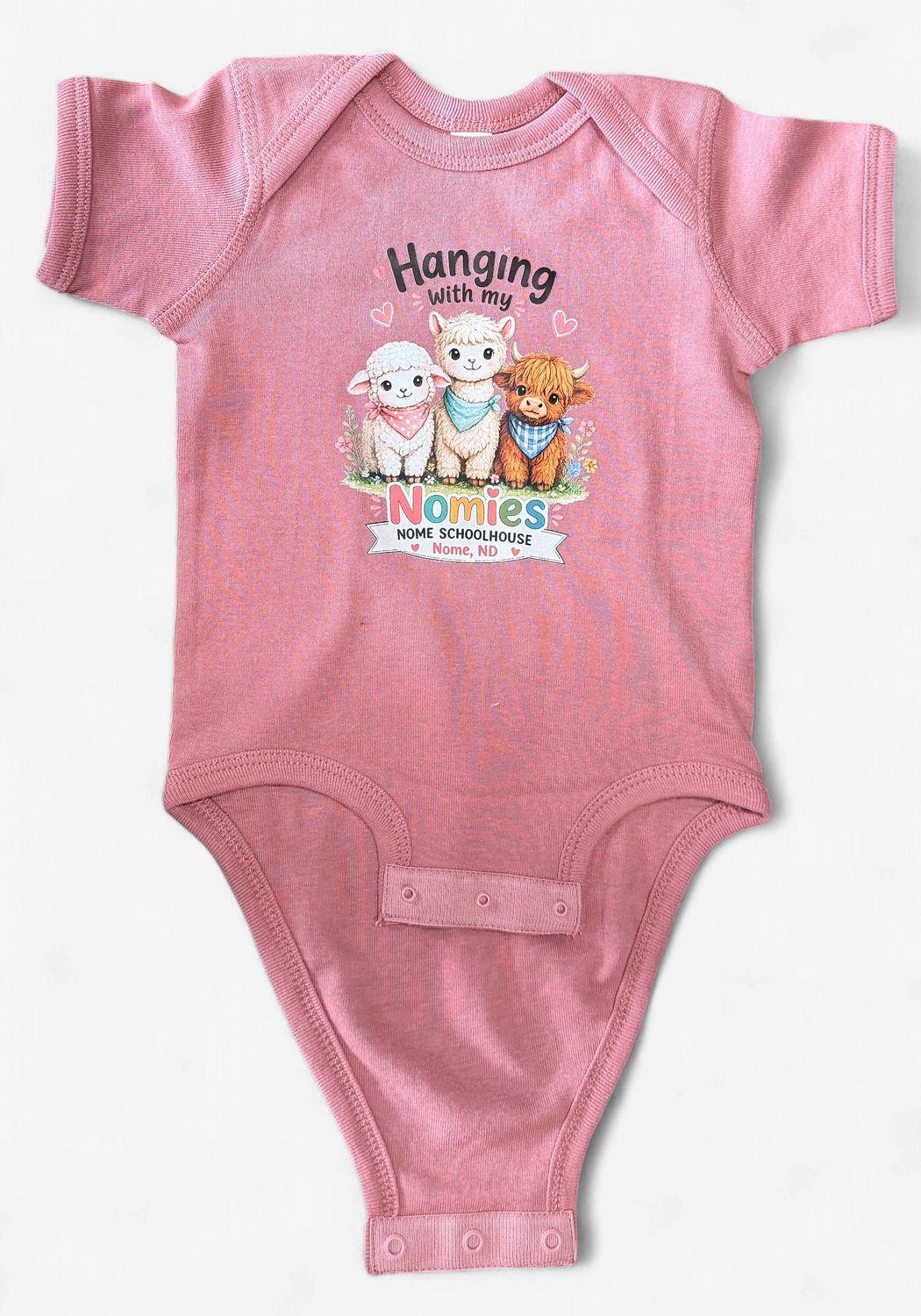 Infant Hanging With My Nomies Onesie, Color: Coral, Size: 6 Mos