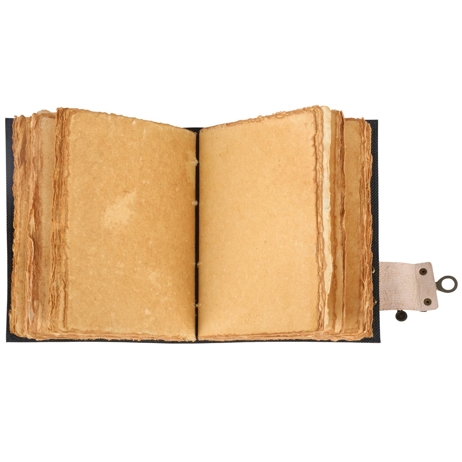 Animal Stack Writing Journal