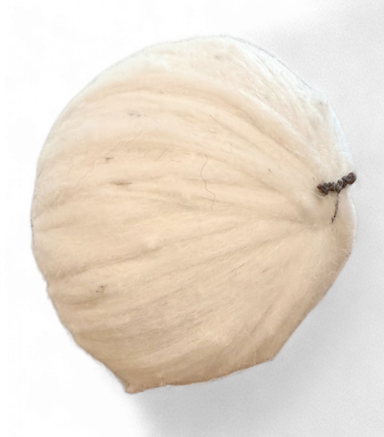 Nome Schoolhouse Rambouillet &amp; Alpaca for Spinning
