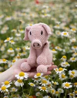 Toft Animal Crochet Kit - Richard the Pig
