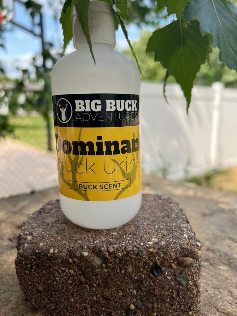 Dominant Buck Urine