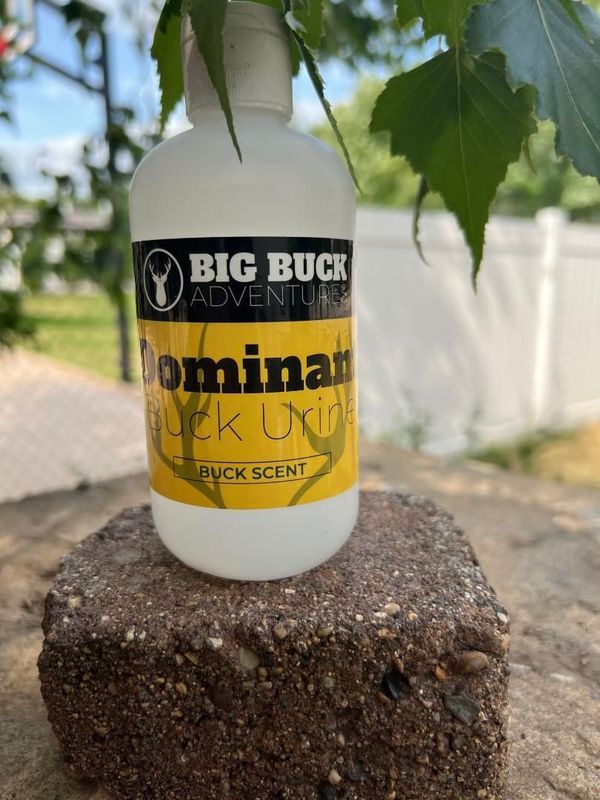 Dominant Buck Urine