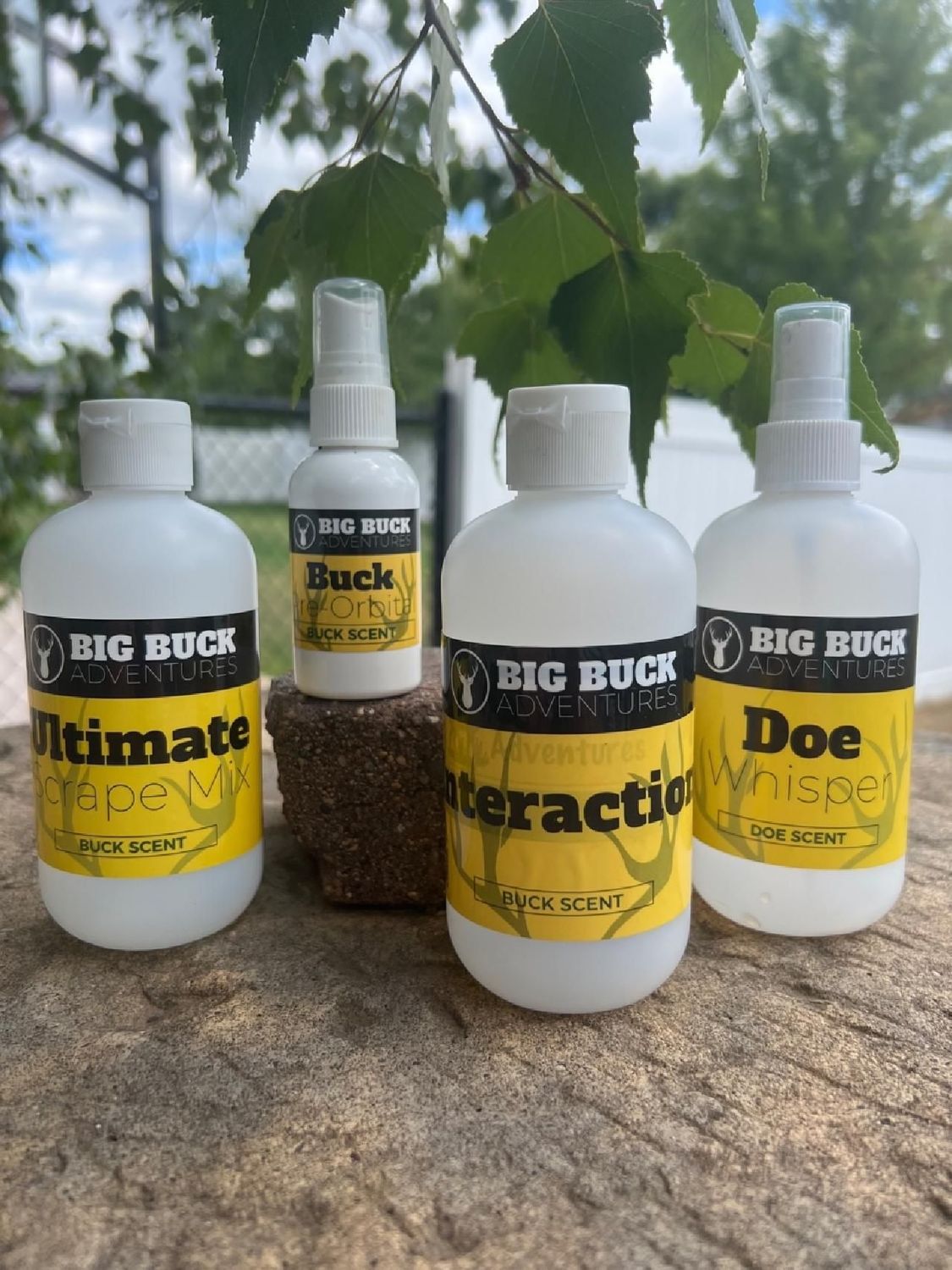 BBA 8oz Mock Scrape Starter Kit
