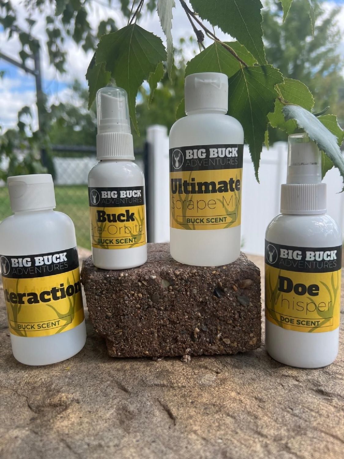 BBA 4oz Mock Scrape Starter Kit