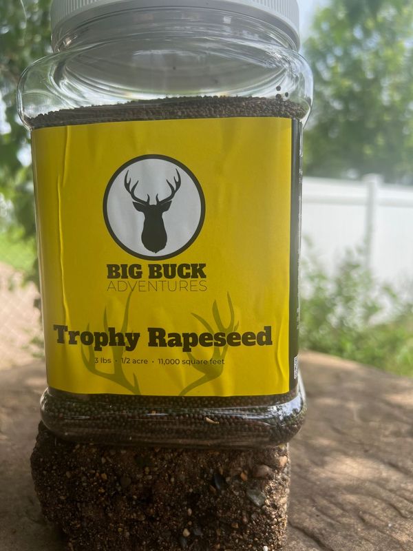 Trophy Rape Seed