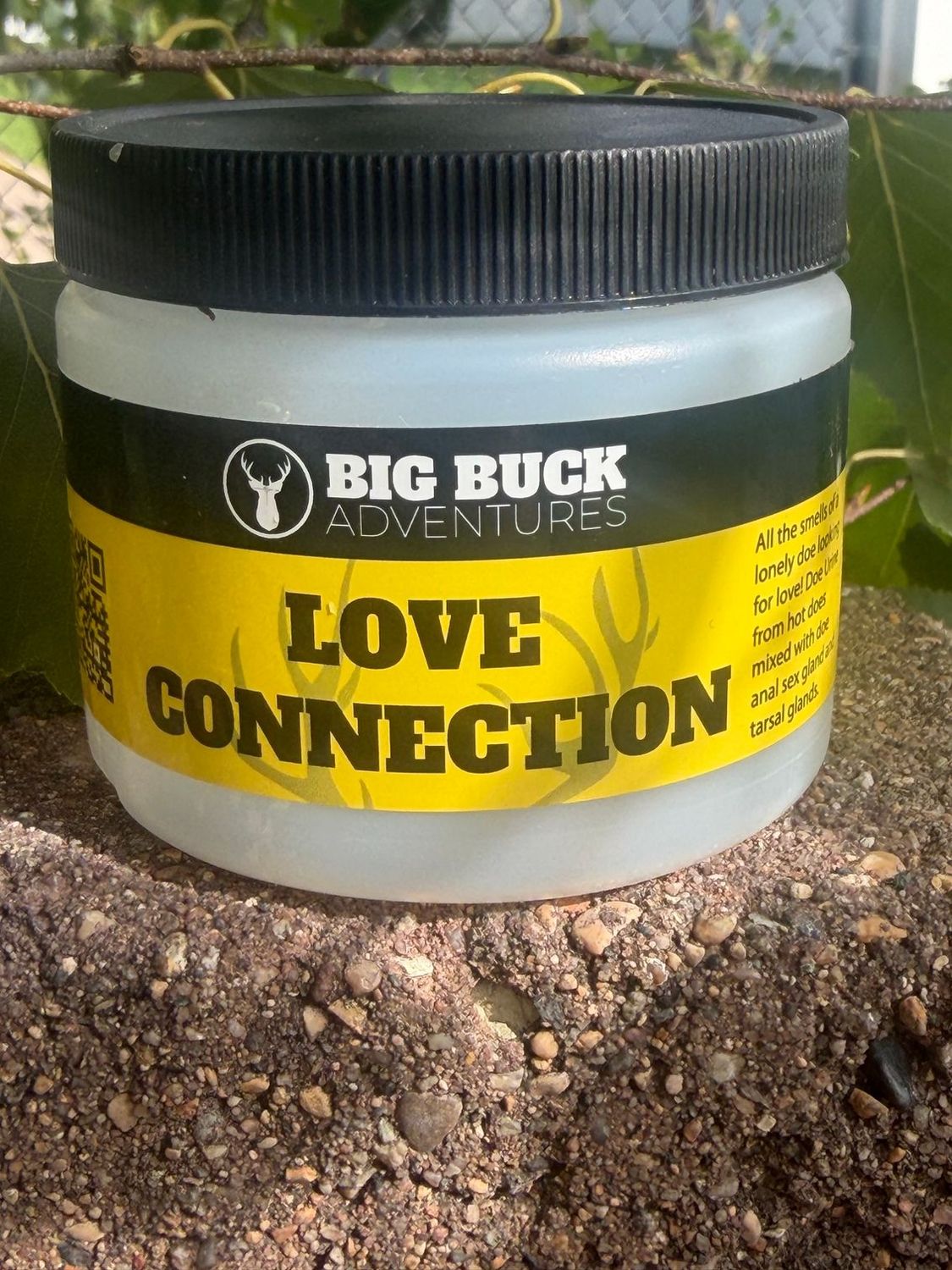 Love Connection Love Connection