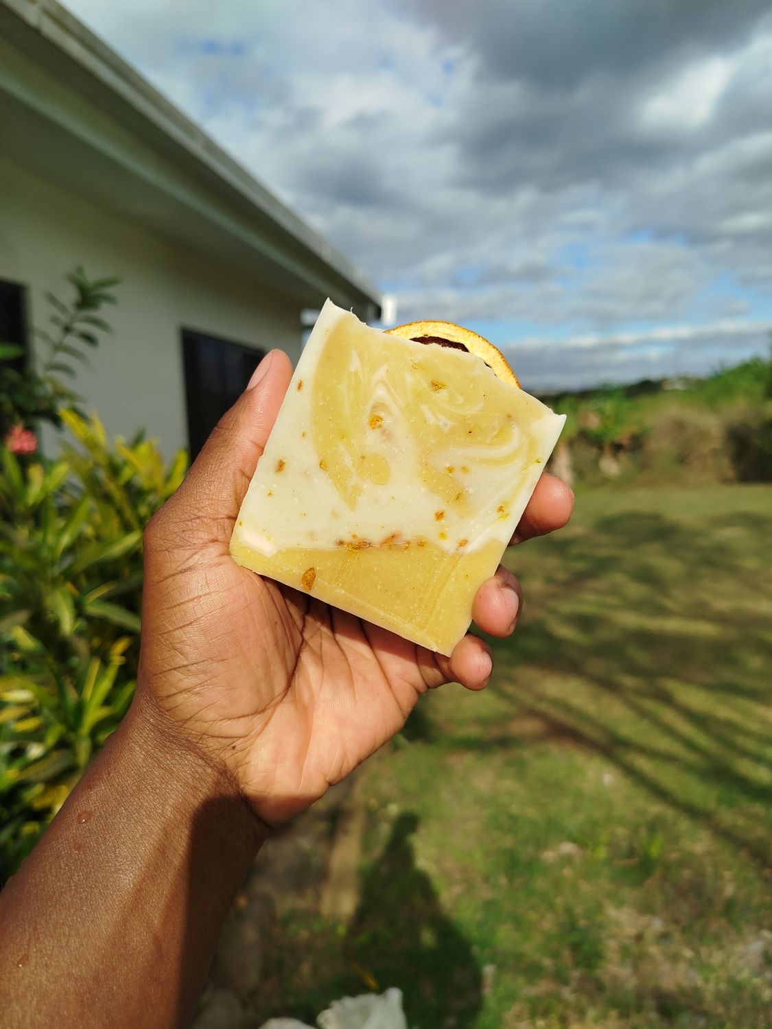 Zesty Citrus