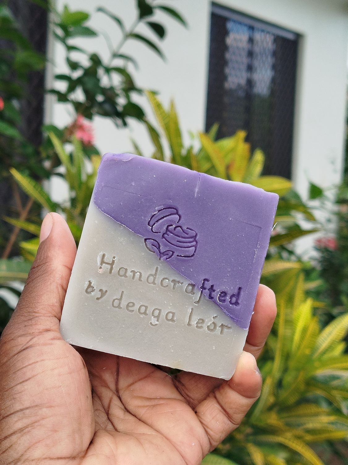 Lavender Escape