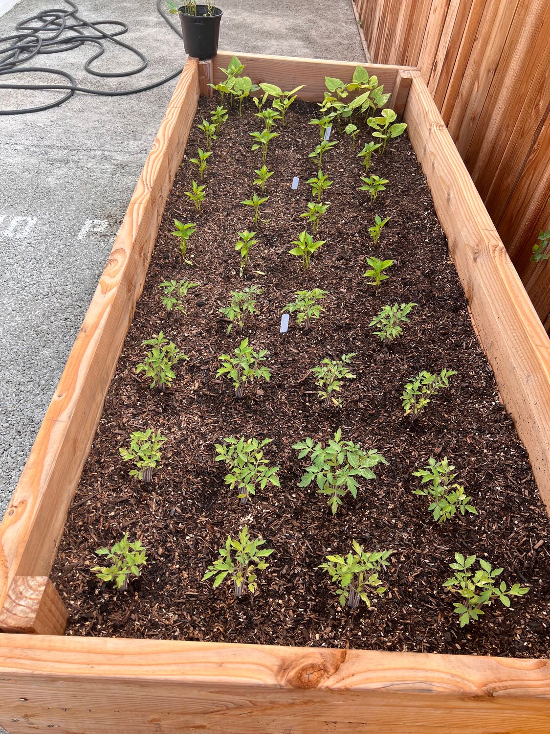 Youth Agriculture program