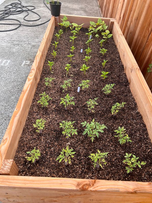 Youth Agriculture program
