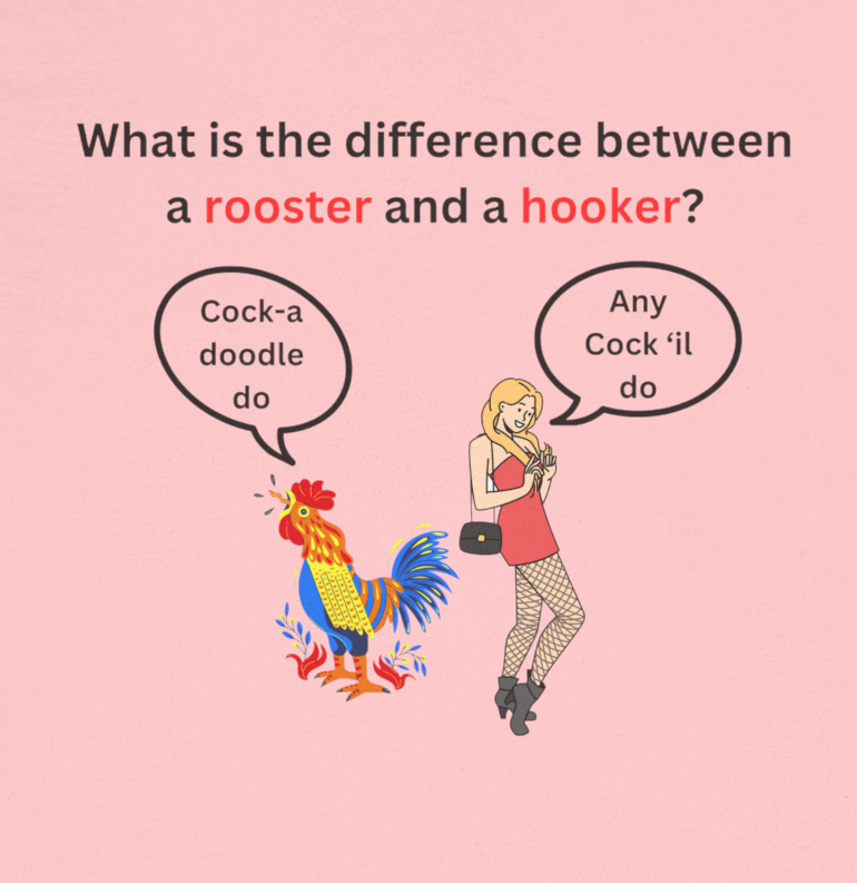 Graphic - Difference between Rooster and A Hooker T-Shirt
