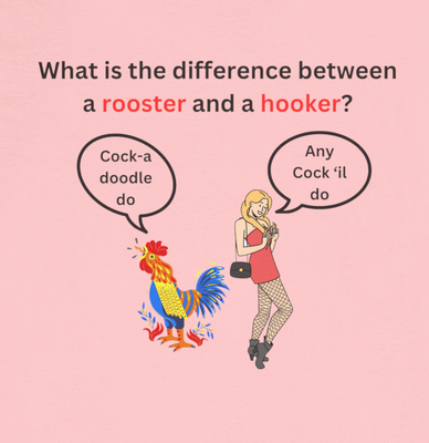 Graphic - Difference between Rooster and A Hooker T-Shirt