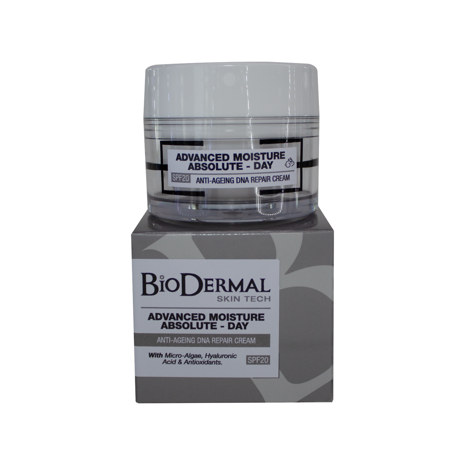 Advanced Moisture Absolute Day
