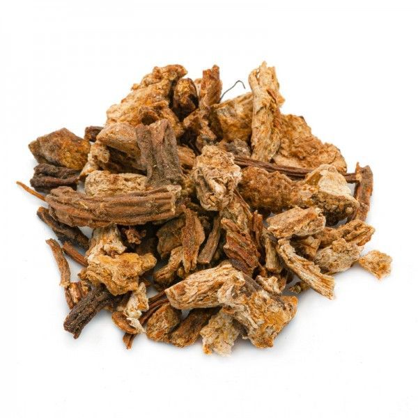 ANGELICA BOEMIA RADICE ANGELICA BOEMIA RADICE