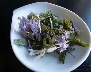 MALVA FIORI E FOGLIE