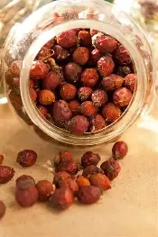 ROSA CANINA BIO FRUTTO