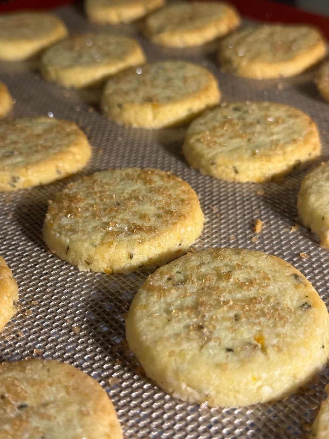 Biscotti di frolla all’arancio e rosmarino Biscotti di frolla all’arancio e rosmarino