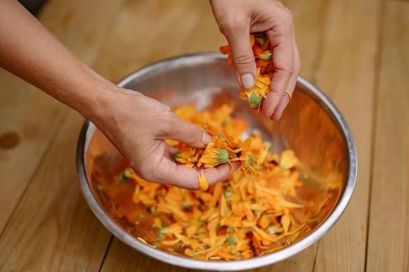Olio alla Calendula in Olio EVO del Garda