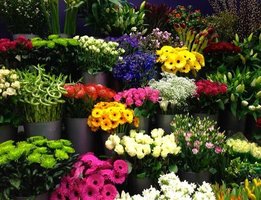 The Gift That Keeps on Blooming - Subscription Service