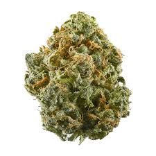 Blue Dream THCa Packaged Flower, Amount: 1G